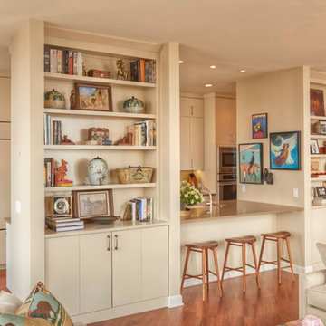 Upscale Dream Penthouse Overlooking Soldier's Field