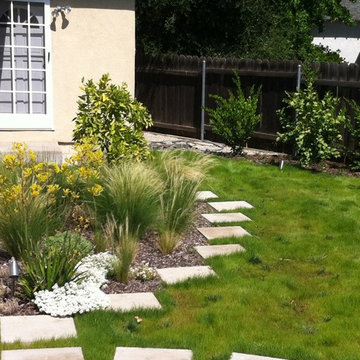 Back yard dry tolerant landscape. garage conversion