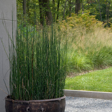Iron Urn with Equisetum
