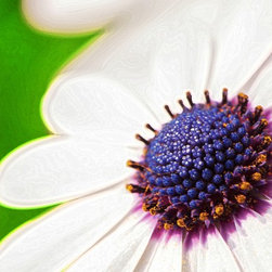 Fine Art Photography - Digital paintings - Products