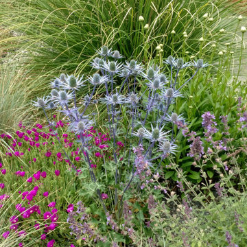 Architect's Mid-Century Landscape
