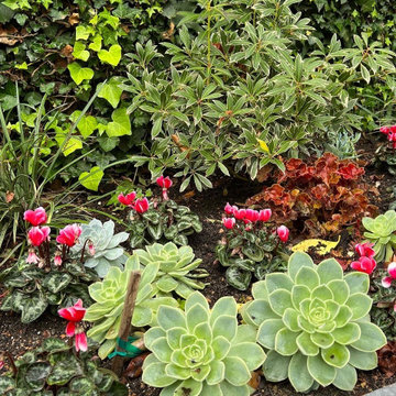 Palo Alto | No Space Too Small to Transform