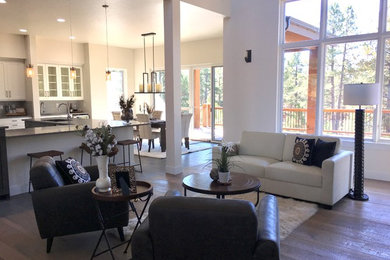 Living room - modern living room idea in Denver
