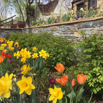 Seasonal Plantscaping