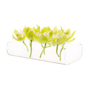 8 Hole Flute Bud Vase