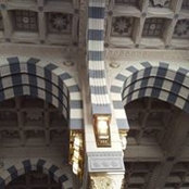 Dina Omran's photo