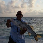 Greg Sauls's photo
