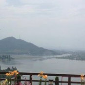 Anjum Khan's photo