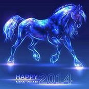 Le Cuong's photo