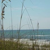 Shawna Cremeens's photo