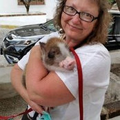 Foto de Deb T-b
