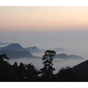 Sean Lu's photo