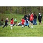 Brandi Scott's photo
