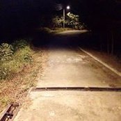 Xavier Ling's photo