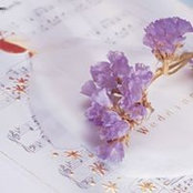 Foto von Caroline Lau