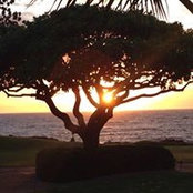 Laura Kane's photo