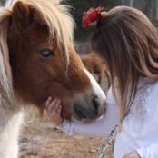 Foto von Christi Taylor