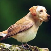 Leo Val Adalla's photo