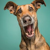 Jeff Parsons's photo