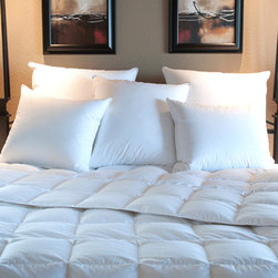 Avalon Comforter- 700 Southernlite (Extra Light Fill) - Products