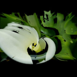 Flora Deconstructed - Products