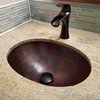 Schrodinger 19" Dual Flex Bathroom Sink in Copper