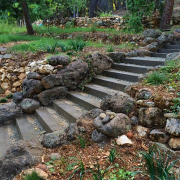 Steps & Pathways