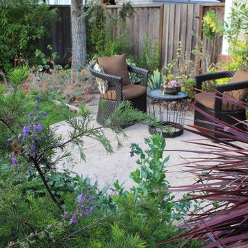 Backyard Kid and Pet-Friendly