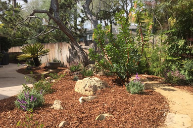 This is an example of a landscaping in Santa Barbara.