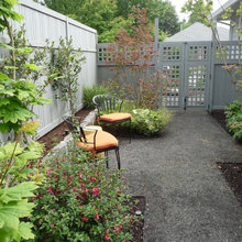 SIDE YARD