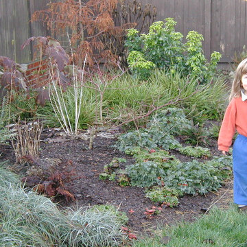 Full Front & Back Landscape - Ballard, Seattle