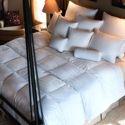 Monarch Comforter - Products