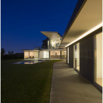 Tigertail with Patrick Tighe