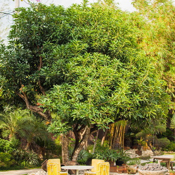 Tropical Garden Design at Villa Mimine Bali