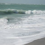 Melissa Lynch's photo