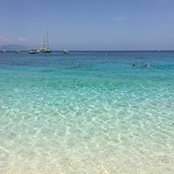 Federico Grassini's photo