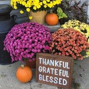Sue Singer's photo