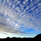 Cameron Calhoon's photo