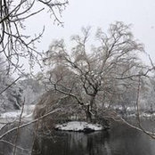 Helena King's photo