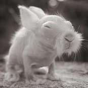Abagail Harper's photo