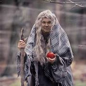 Tom Lisch's photo