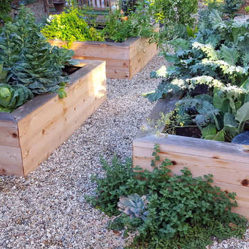 San Clemente Hummingbird Garden