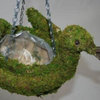 Moss Duck Topiary Hanging Planter, 12"W x 9"H