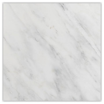 Asian Statuary Premium Polished 18x18 Micro Beveled Marble Tile