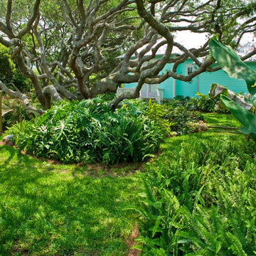Sea Colony Landscapes