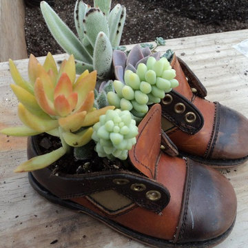 Container Gardens and Succulent Arrangements