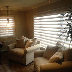 Hunter Douglas Pirouettes - Roman Shades