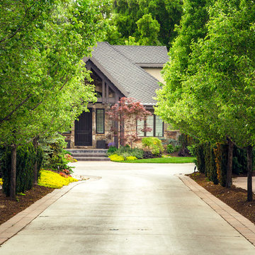 Tree Lined Driveway
