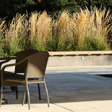 modern gardens