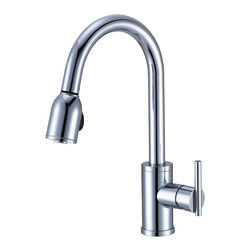 Danze Parma&trade; Single Handle Pull-Down Kitchen Faucet - Kitchen Faucets